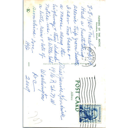 Flowers of the Arctic Kotzebue Alaska Original Postcard TK1-30