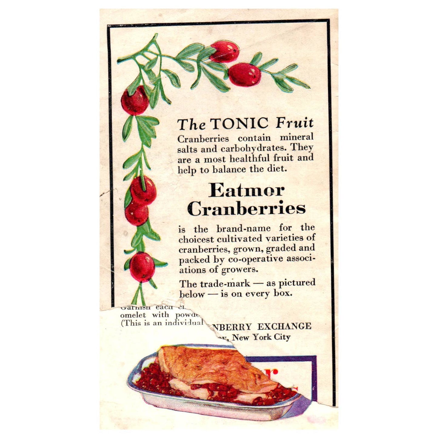 1920s Eatmor Cranberries Recipes Cookbook Booklet The Tonic Fruit SE4