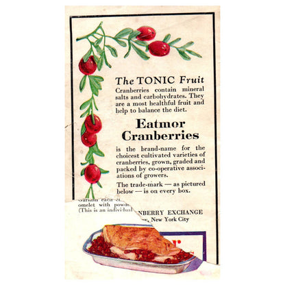 1920s Eatmor Cranberries Recipes Cookbook Booklet The Tonic Fruit SE4