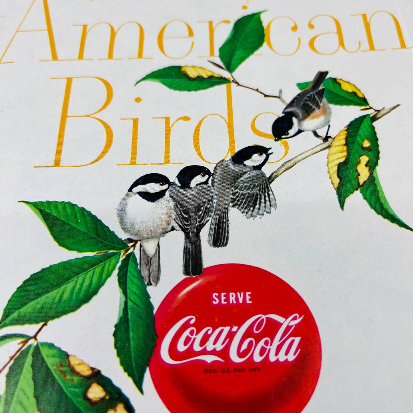 1959 Coca Cola Calendar of American Birds 7 x 12” by ATHOS MENABONIL C4