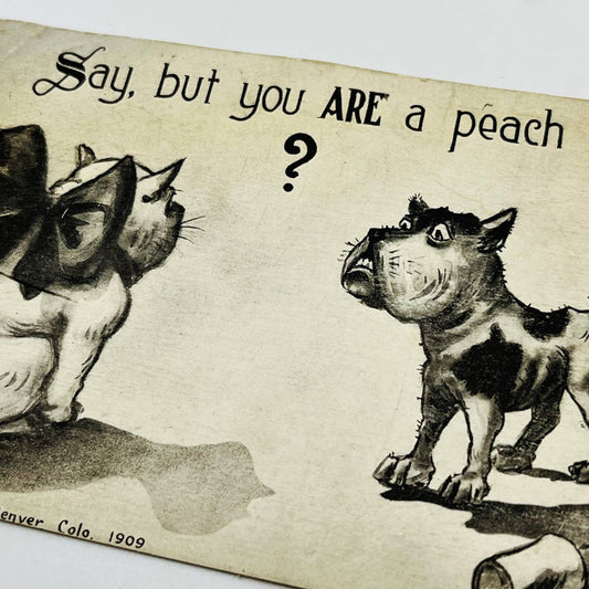 1910s Post Card Humor Illustrated Anthropomorphic Dog & Cat Tin Can String PA6