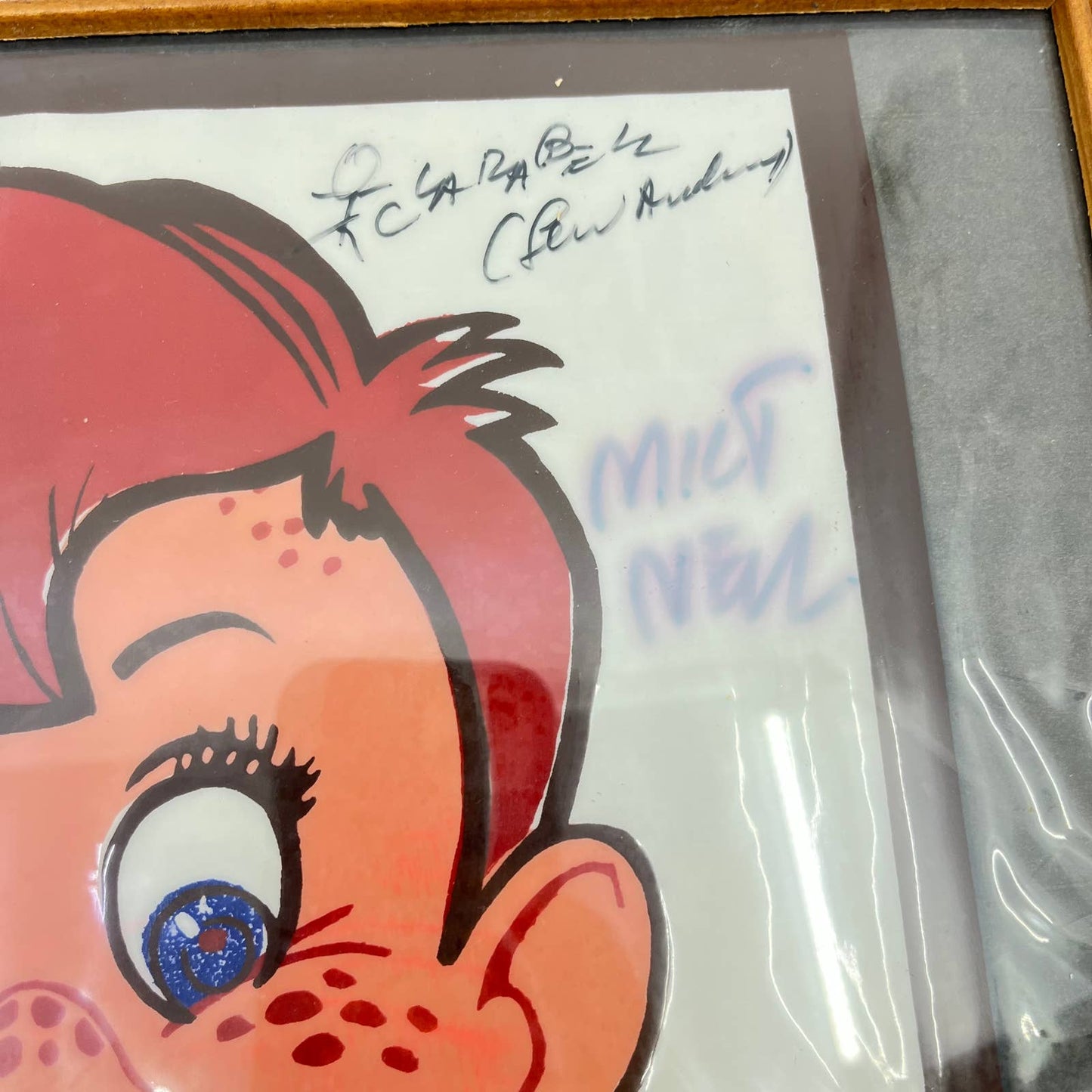 Vintage Howdy Doody Framed Print Autographed by Cast Members 12x15” TE5