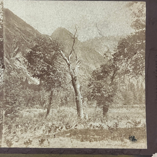 Mountain View, Yosemite Valley California Antique Stereoview Card H2-2