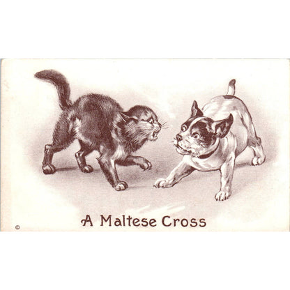 c1910 Comic Postcard A Maltese Cross Dog and Cat Fighting EA3