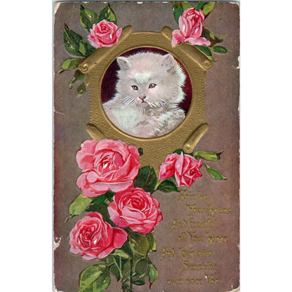 1910 Postcard Winsch Back Fluffy White Cat Pink Roses Gold SE4