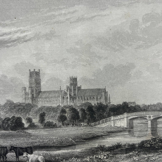 1836 Original Art Engraving Ely Cathedral South East View From Barway Bank AC4