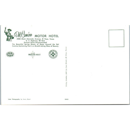 Del Camino Motor Hotel El Paso Texas Sunbathing - Original Postcard TJ7-RP2