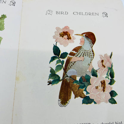 Set of 4 Bird Children MT Ross Litho Double Sided Pages and 1912 Book Cover C7