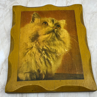 Vintage Retro Rustic Decoupage Photo of White Fluffy Cat on wood plank 8x9.5 TE5