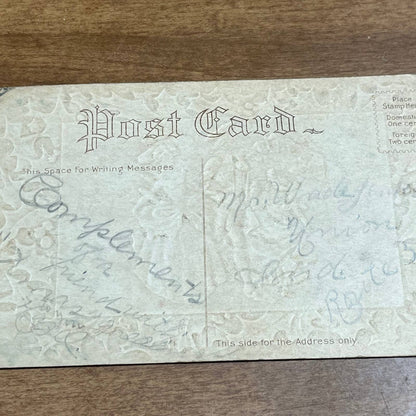 c1900 Embossed Silver Holly Edwardian Holly Christmas Greetings Postcard PA2