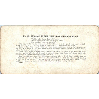 Victorian Camp in the Pines Near Lake Abundance - Antique Stereoview Card TJ1-C1