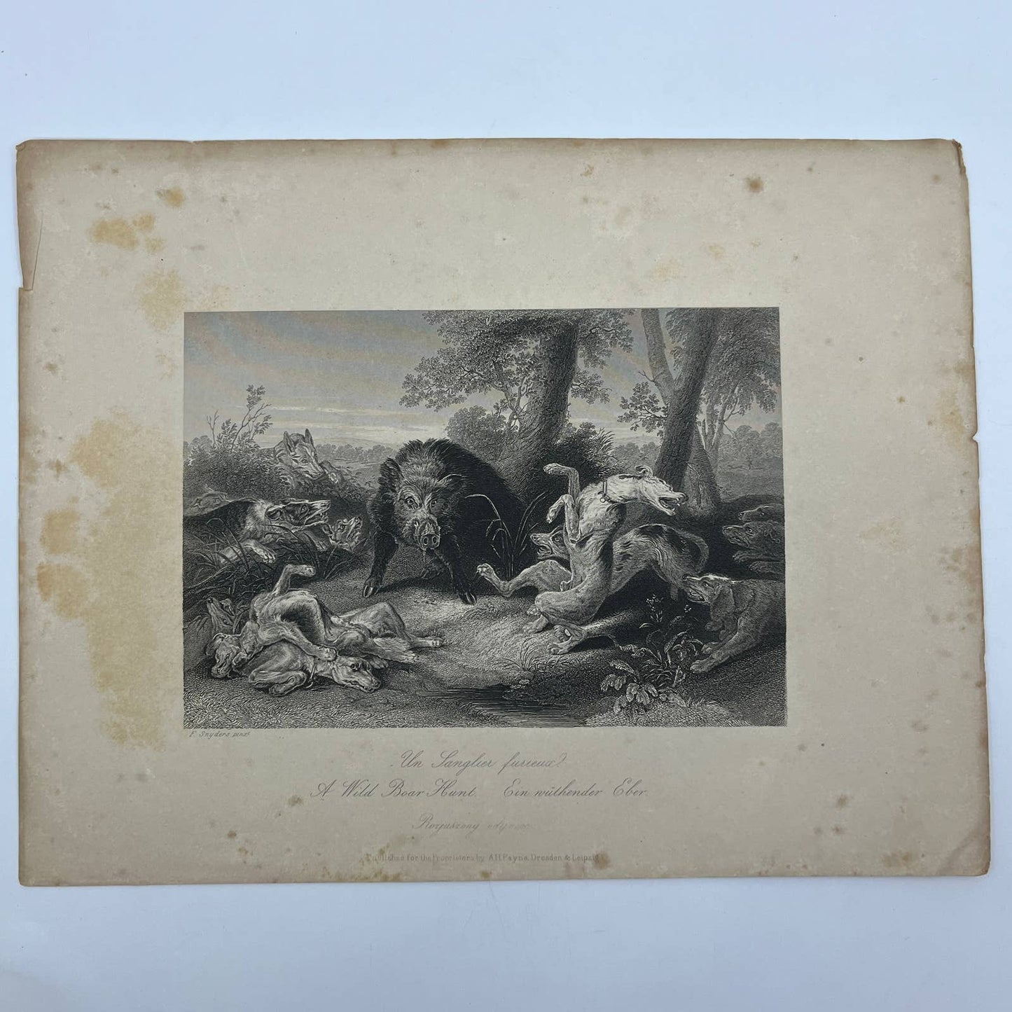 1864 Original Steel Art Engraving - A Wild Boar Hunt F. Snyder 8.5x11" AC3