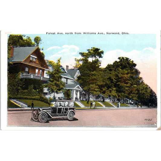 Vintage Postcard Forest Ave. North From Williams Ave. Norwood Ohio TD9