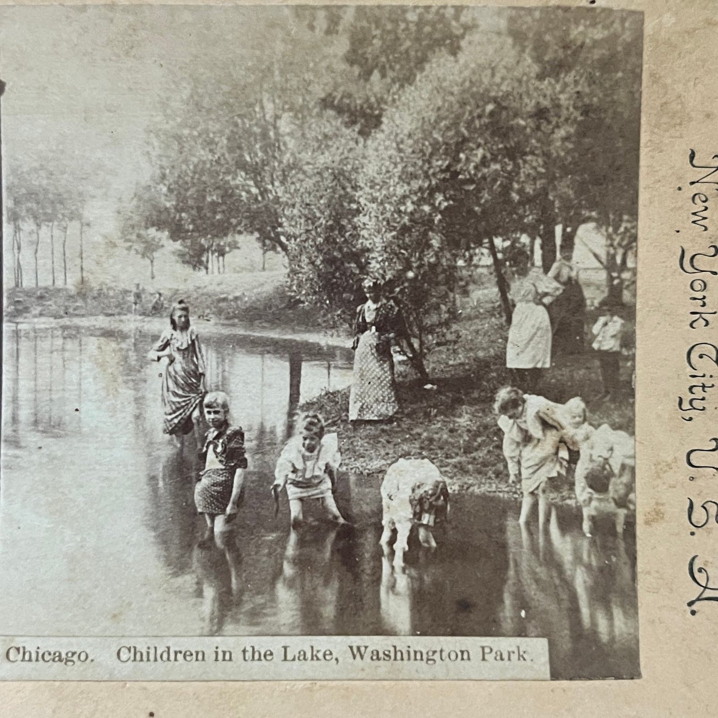 Chicago Children in the Lake Washington Park Antique Stereoview Card TJ9-V2
