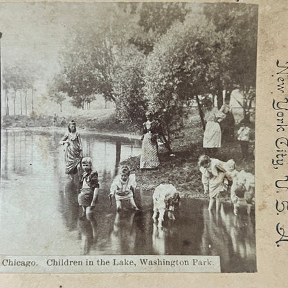 Chicago Children in the Lake Washington Park Antique Stereoview Card TJ9-V2