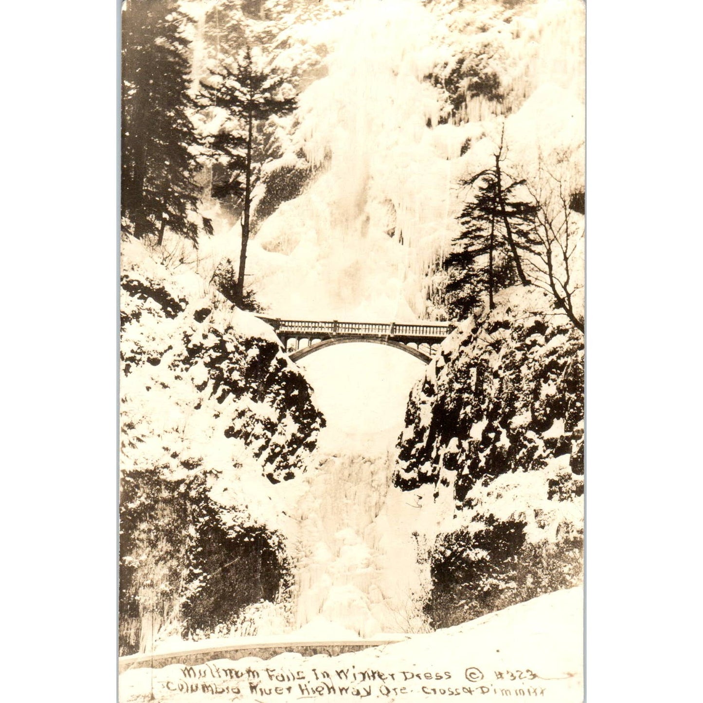 Multnomah Falls Columbia River Highway Oregon RPPC Original Postcard TK1-24