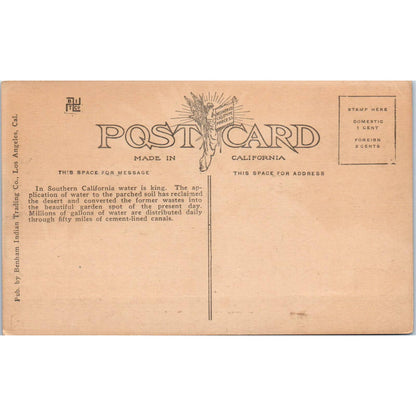 Irrigation Canal in California c1910 Original Postcard TK1-P1