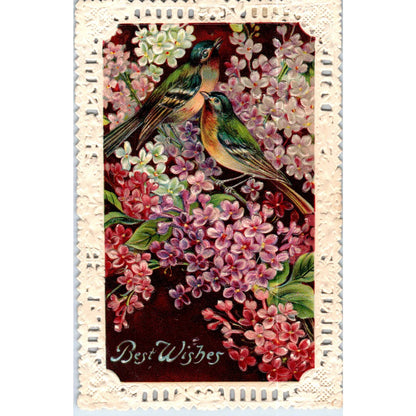 1910 Flowers & Birds Die Cut Lace Border Best Wishes Original Postcard TK1-P15