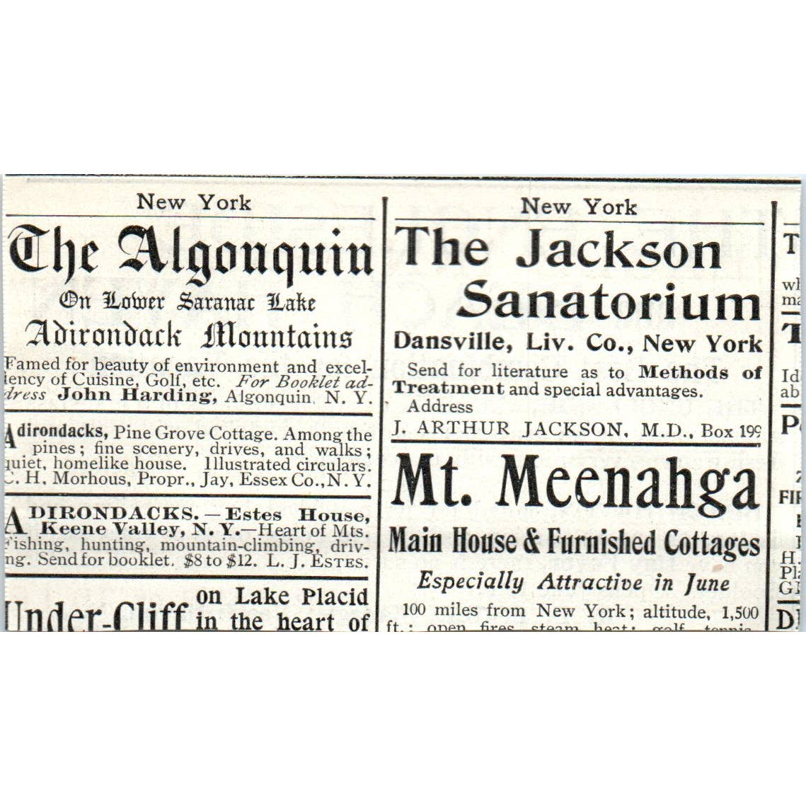 The Engleside and Beach Haven Resorts R.F. Engle NJ - 1903 Original Ad TJ7-L