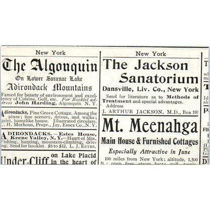 The Engleside and Beach Haven Resorts R.F. Engle NJ - 1903 Original Ad TJ7-L