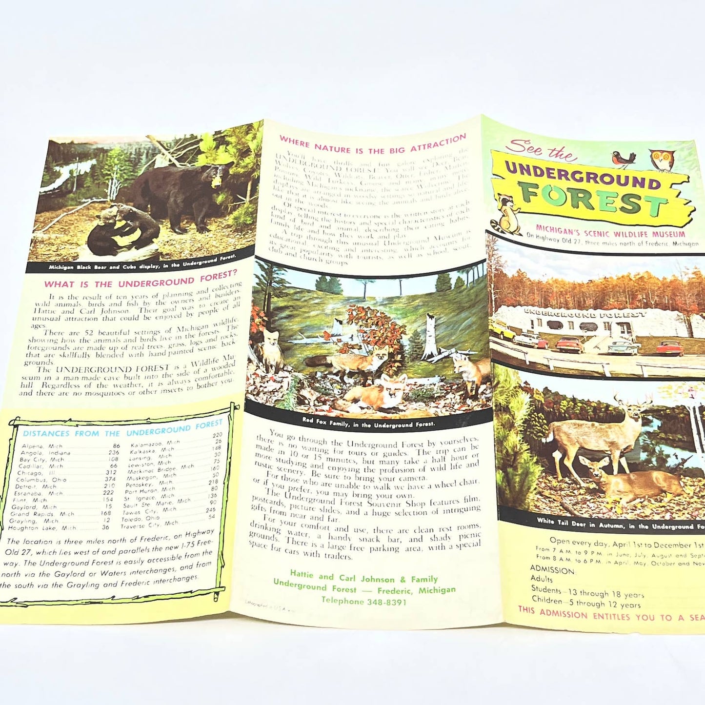 1963 Underground Forest Michigan Scenic Wildlife Museum Frederic Brochure AC1