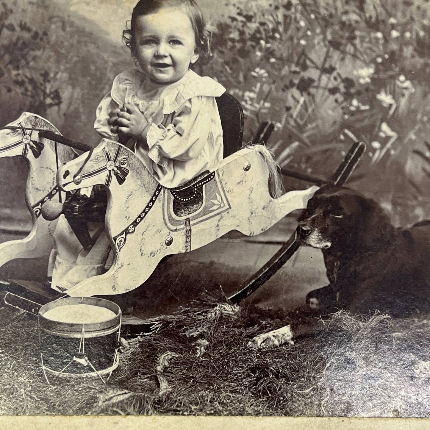 1890s Cabinet Card CDV Little Girl on Hobby Horse With Black Labrador Dog AC3