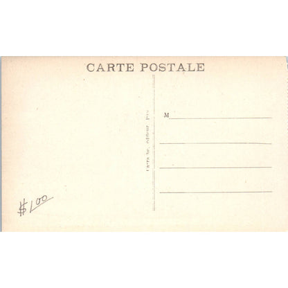 Le Parc Du Château National Statue de Gaston Phoebus Original Postcard TK1-20