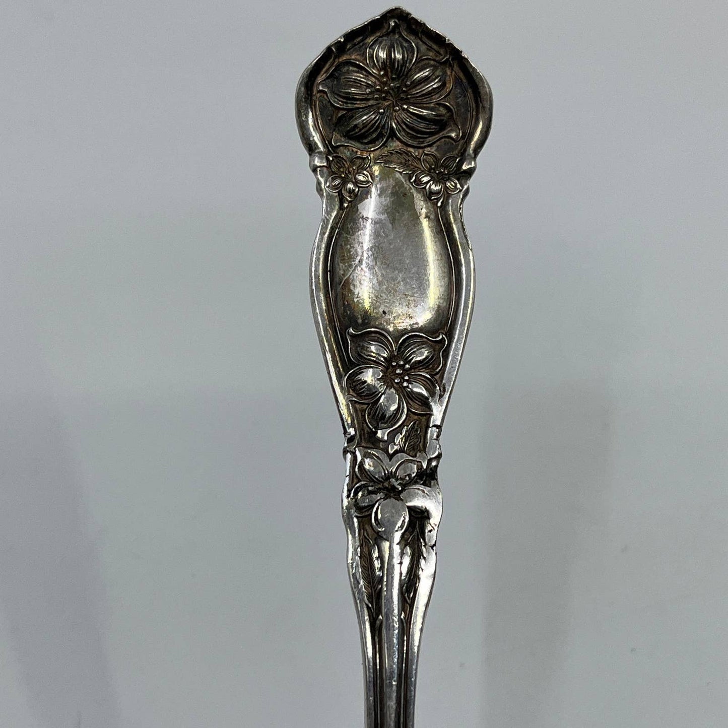 1910 WM Rogers AA Cake Pie Server Orange Blossom Pattern 8.5” SE1