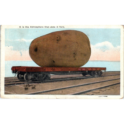 Giant Potato Sugarcreek Ohio 1923 Original Postcard P1-13