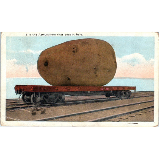 Giant Potato Sugarcreek Ohio 1923 Original Postcard P1-13