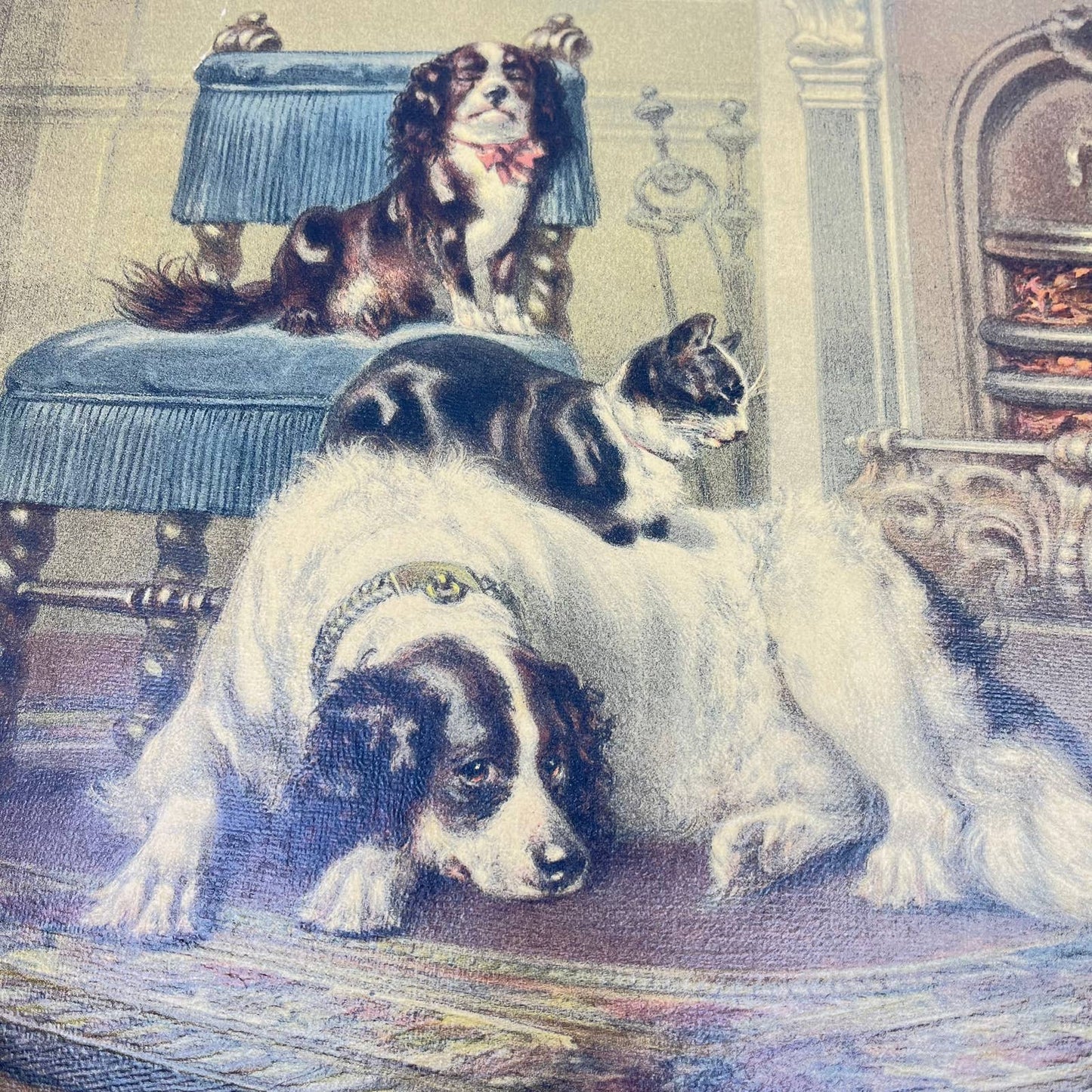 1880s Victorian Print Great Pyrenees King Charles Cavalier Spaniel Cat 10x13 FL1