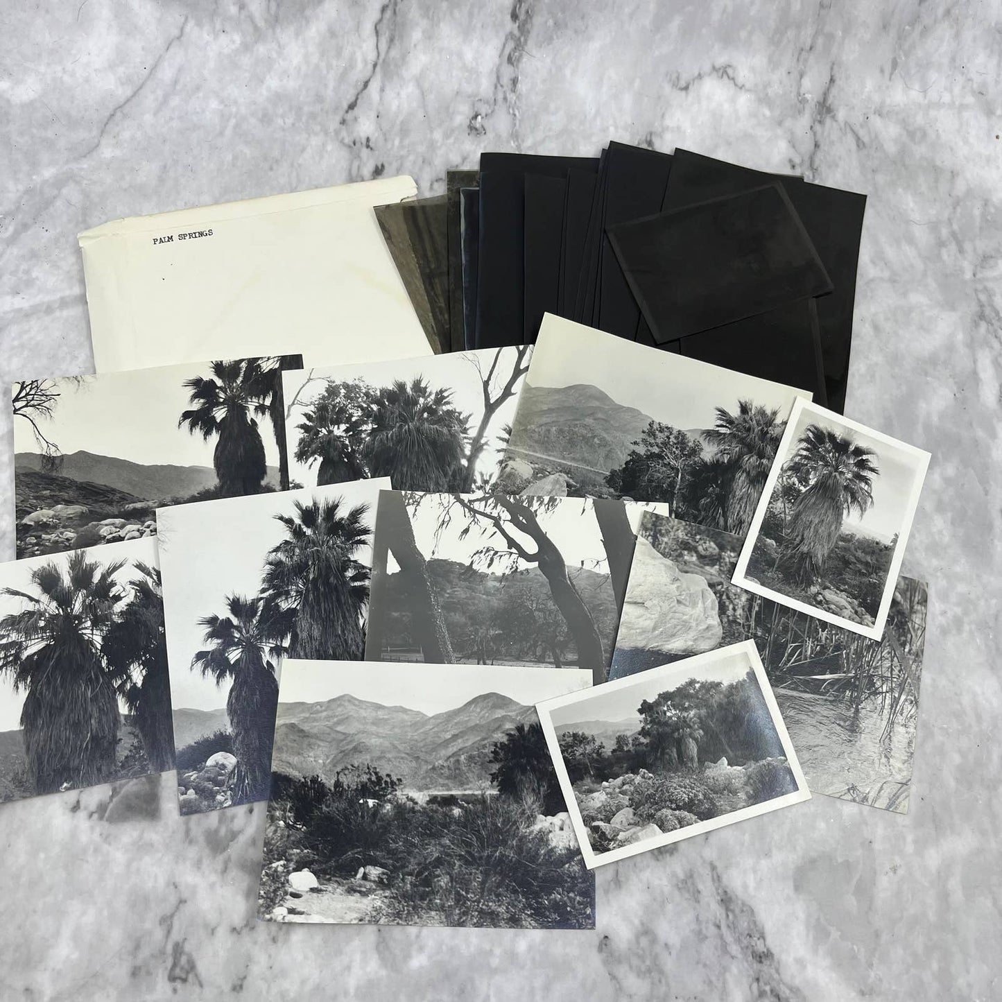 c1935 Collection of Photos & Negatives of Palm Springs Nature Landscapes TJ9-PG1