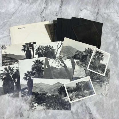 c1935 Collection of Photos & Negatives of Palm Springs Nature Landscapes TJ9-PG1