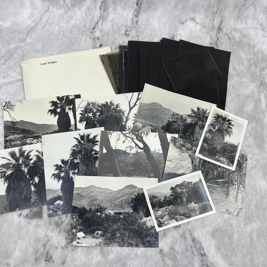 c1935 Collection of Photos & Negatives of Palm Springs Nature Landscapes TJ9-PG1