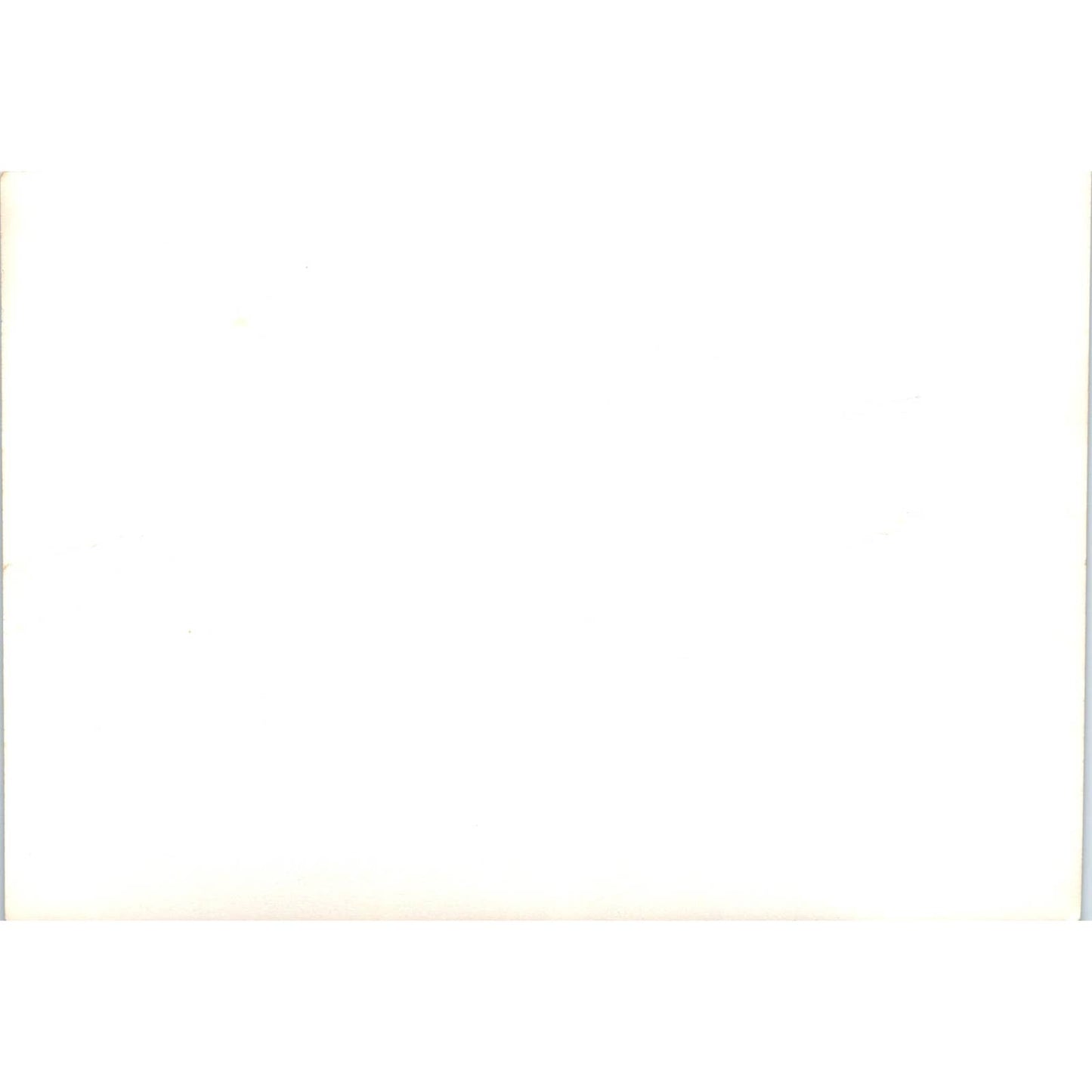 c1970 Original Photograph Tree Frog Close Up 5x7" AD6