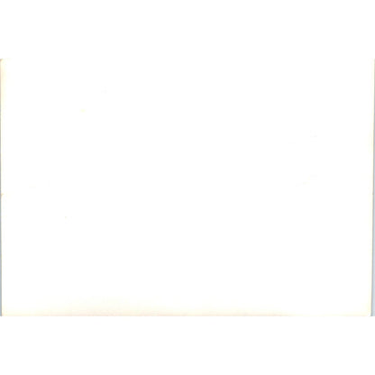 c1970 Original Photograph Tree Frog Close Up 5x7" AD6