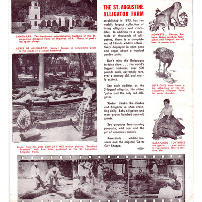 1950s St. Augustine FL Alligator Farm Fold Out Travel Brochure SE3-4