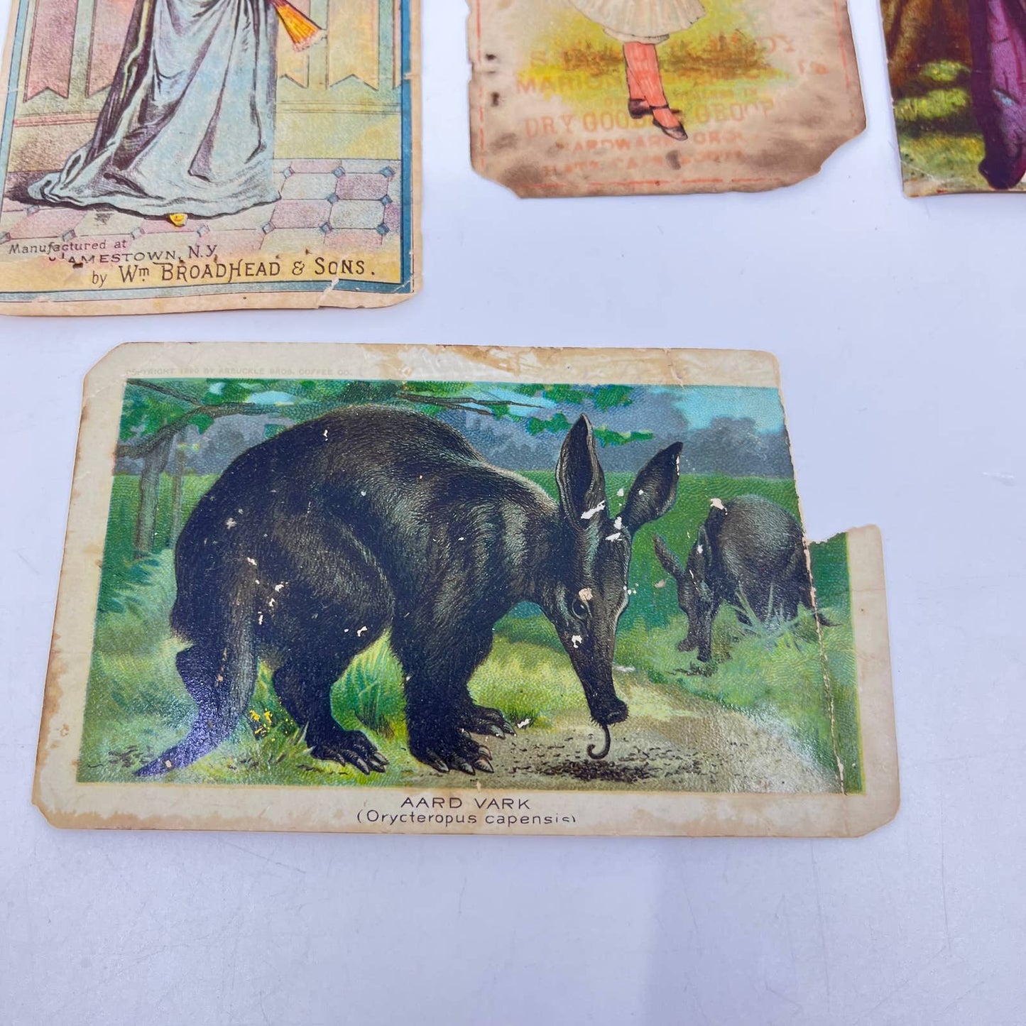 1880-90s Victorian Trade Card Lot of 5 Jamestown NY Aardvark Arbuckle Coffee SC5