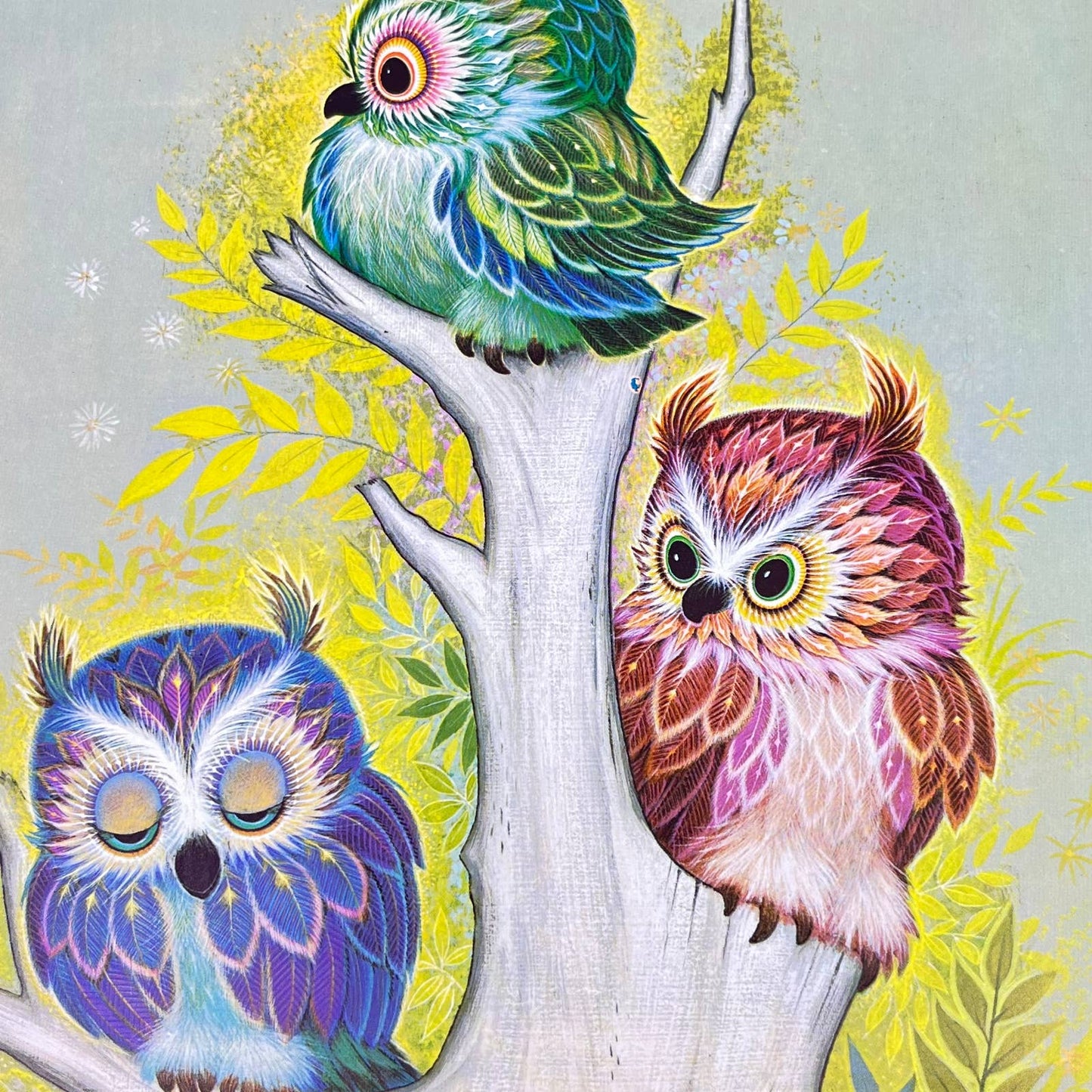 1973 Kitschy Donald Art Co. 3 Owls in a Tree Lithograph K Chin 9 x 12” FL3