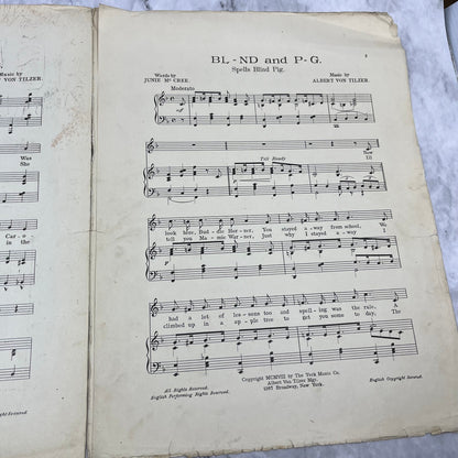 1908 Ragtime Sheet Music BL-ND P-G SPELLZ BLIND PIG Albert Von Tilzer V38