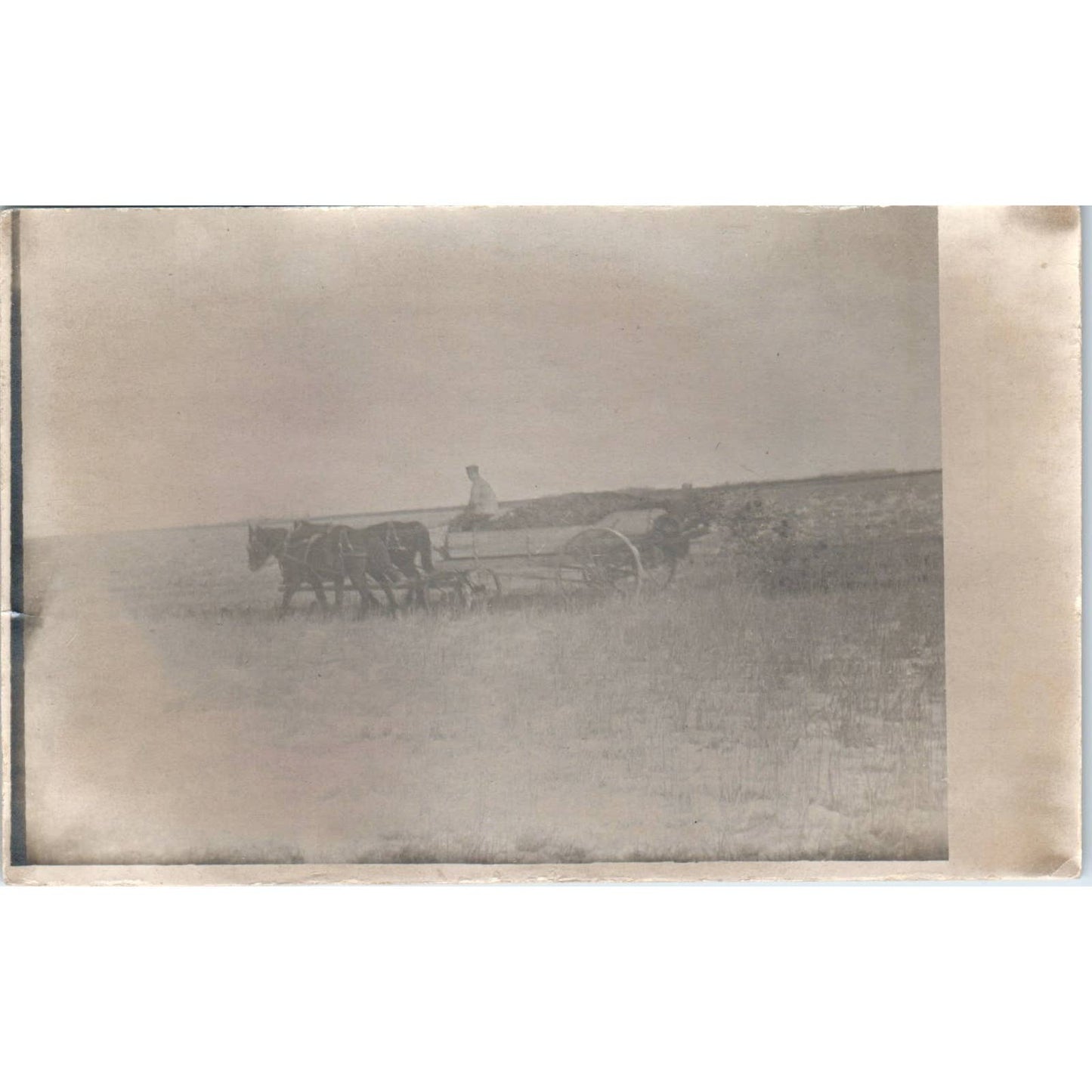 Antique Postcard RPPC Farmer in a Field in Horse Drawn Cart SE8