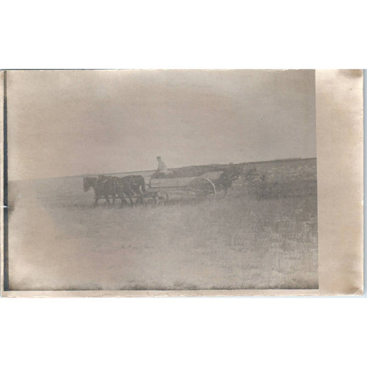 Antique Postcard RPPC Farmer in a Field in Horse Drawn Cart SE8