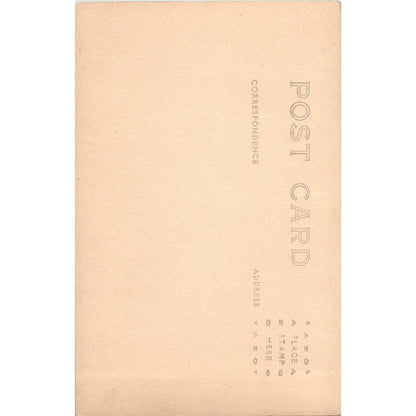 Antique Postcard Wildlife in Rainier National Park Washington TD9