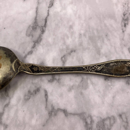 Antique Collectable Teaspoon 1877 NIAGARA FALLS Silver Plate Wild Rose SA2