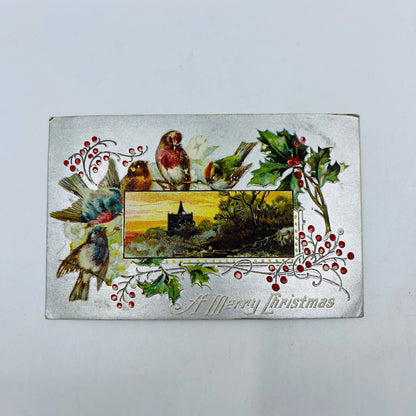 1910s Christmas Post Card Embossed Birds Holly Silver Sunset Church PA4