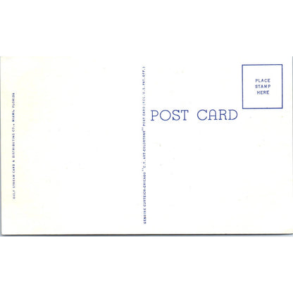 Citation at Hialeah Race Course Miami Florida Original Postcard TK1-23