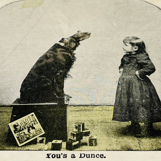 c1895 Stereoview Card Young Victorian Girl & Golden Retriever Wearing Dunce Cap