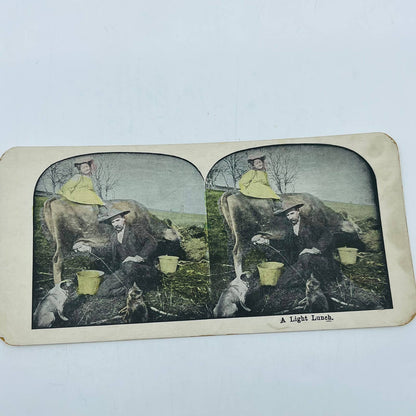 c1890 Stereoview Hand Tinted Victorian Man Squirting Cow Milk At Cat & Pug Dog