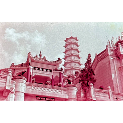 1960s Tiger Balm Garden Hong Kong Set of 17 2x2 Slides TK2-S3-2