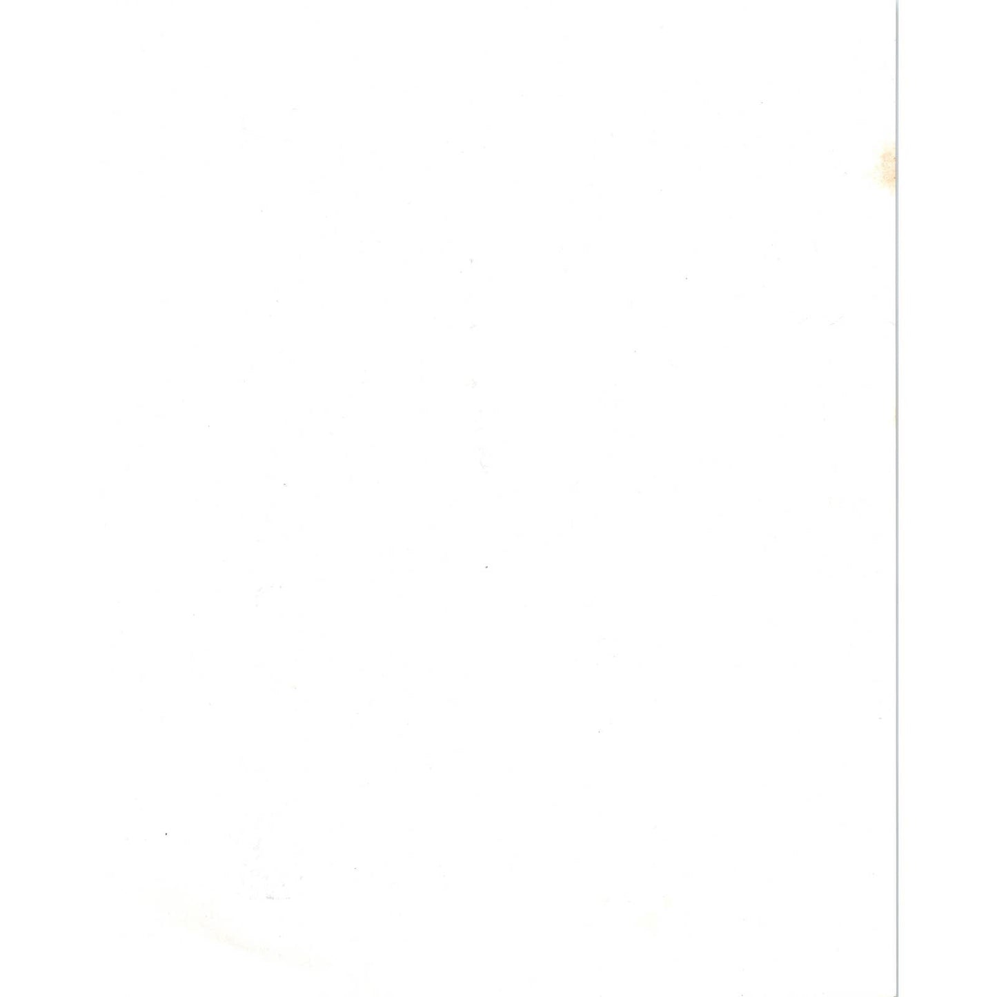 Vintage US Military Airplane Photo Print Republic P-47 Thunderbolt 8x10" AD4